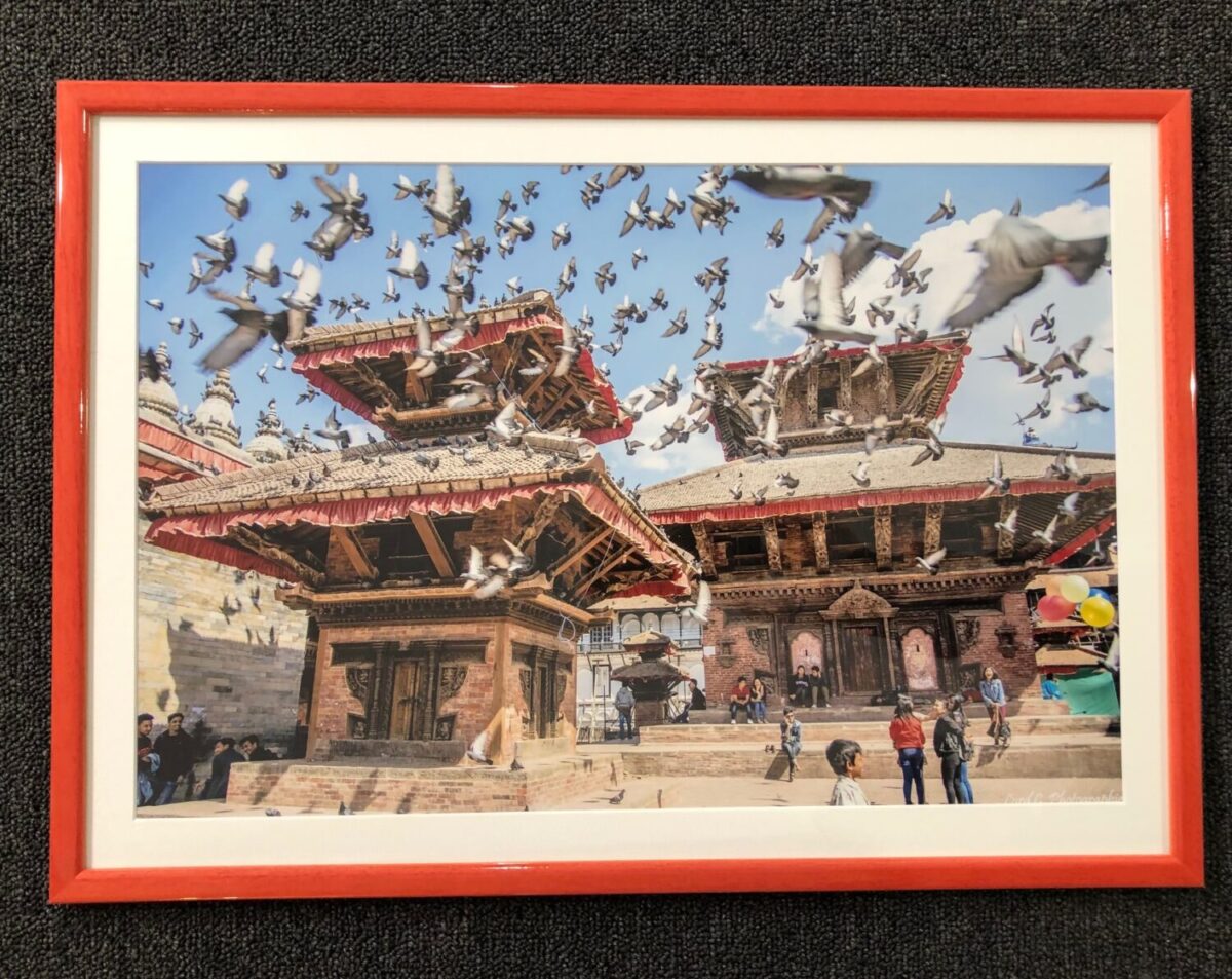 PHOTO ENVOLÉE DE PIGEONS DEVANT UN TEMPLE
PASSE PARTOUT IVOIRE DE CHEZ COLOUR MOUNT ET BAGUETTE BRILLANTE ORANGE DE CHEZ MOULUREX
ENCADREMENT FAIT À L'ATELIER DE LA GALERIE BLANCHE CHEZ L'ENCADREUR AUX Sables d'Olonne