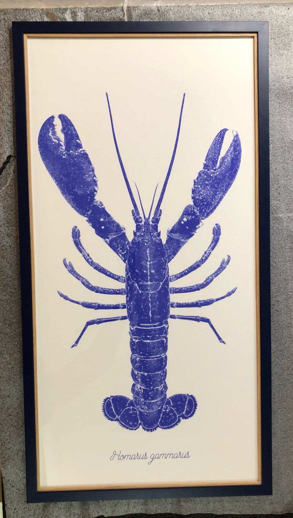 POSTER 300 PIXELS AUX Sables d'Olonne
ENCADREMENT FAIT À LA GALERIE BLANCHE CHEZ L'ENCADREUR AVEC UNE DOUBLE BAGUETTE CHÊNE MASSIF ET BLEU MARINE MAT DE CHEZ OUEST MOULURES