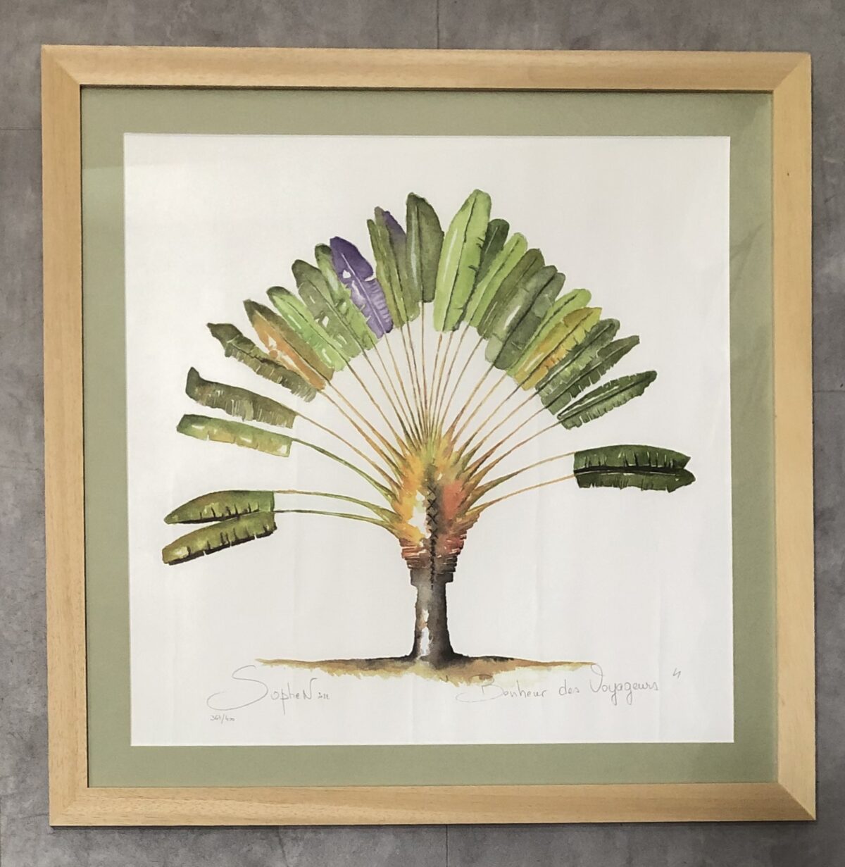 L'ARBRE DU VOYAGEUR
 DES ÎLES
MAGNIQUE AQUARELLE DE L'ARTISTE SOPHEN
PASSE PARTOUT CRESCENT
BAGUETTE EUROBAGUETTE BOIS NATUREL
RÉALISÉ PAR L'ENCADREUR DES SABLES D'OLONNE