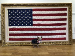 Harley & le drapeau américain véritable