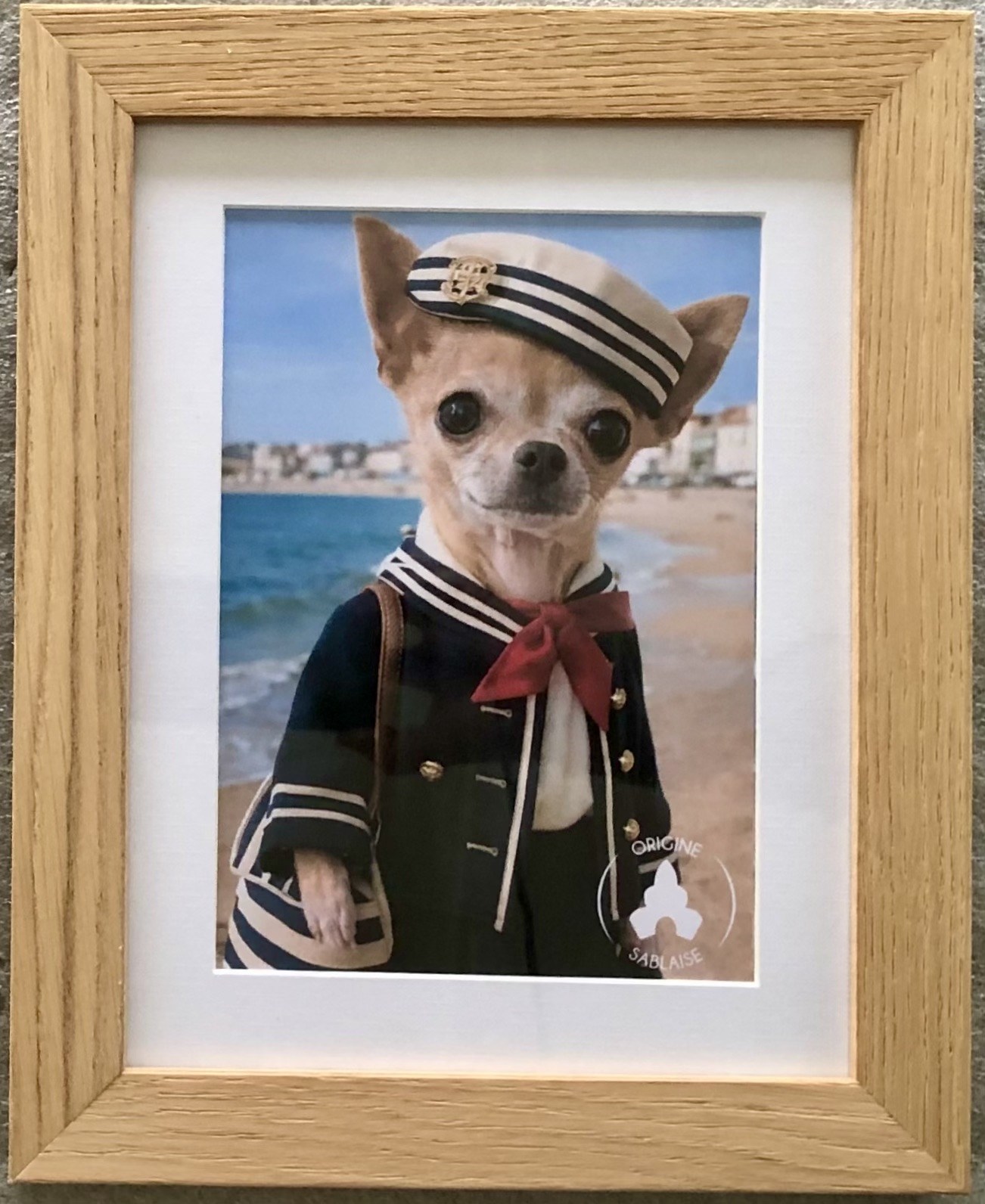 photo animal sur la plage en tenue de marin