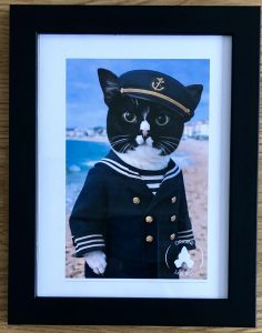 Portraits d'animaux