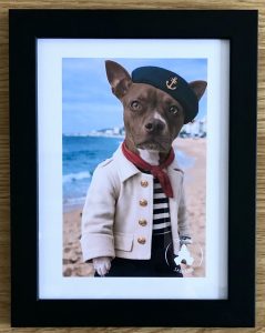 Portraits d'animaux