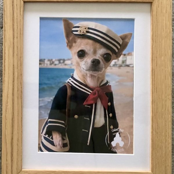 Portrait d'animaux